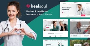 healsoul wordpress theme design - codemily